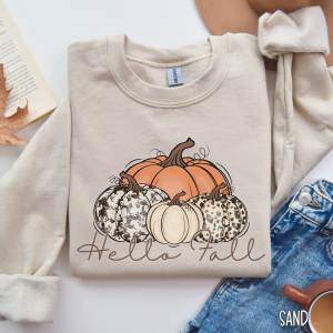 Hello Fall Cozy Pumpkin Sweater